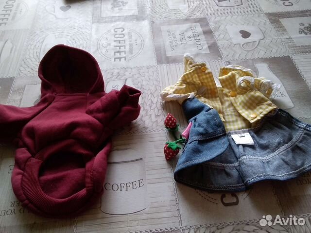 Одежда для своего питомца йорка или тойтерьера