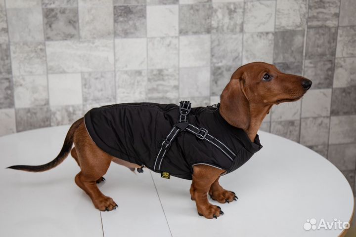 Куртка Комфорт для собак
