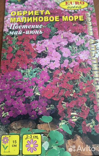 Рассада обриетв