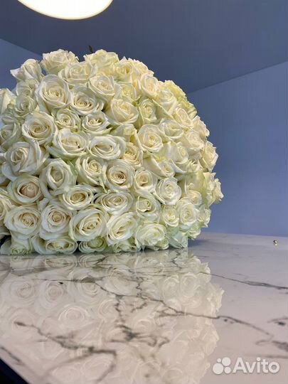 Белые розы. 21 роза. 51 роза. 35 роз. Красные розы