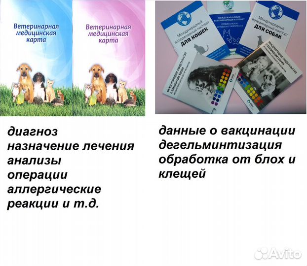 Ветеринарная медицинская карта