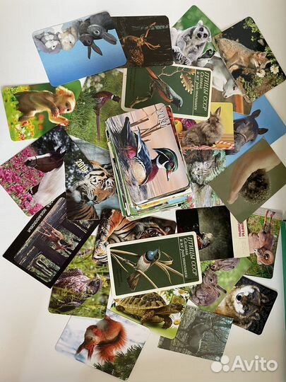 Карманные календарики 