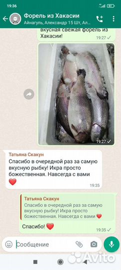 Форель охлаждённая из Хакасии. Икра форели