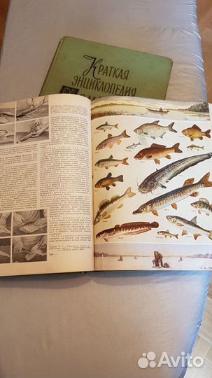 Краткая энциклопедия домашнего хозяйства в 2т