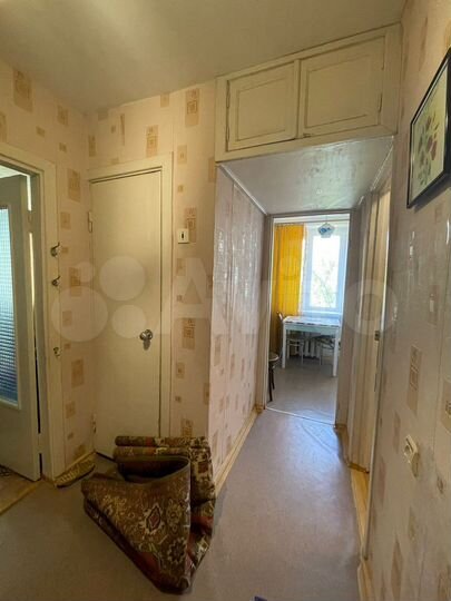 1-к. квартира, 37,1 м², 1/5 эт.