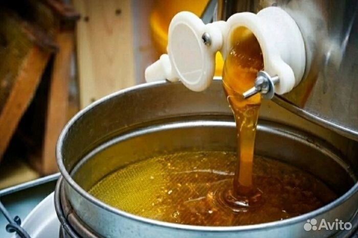 Мёд натуральный из Алтая оптом от 16 кг