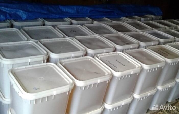 Мед натуральный алтайский оптом от 16 кг