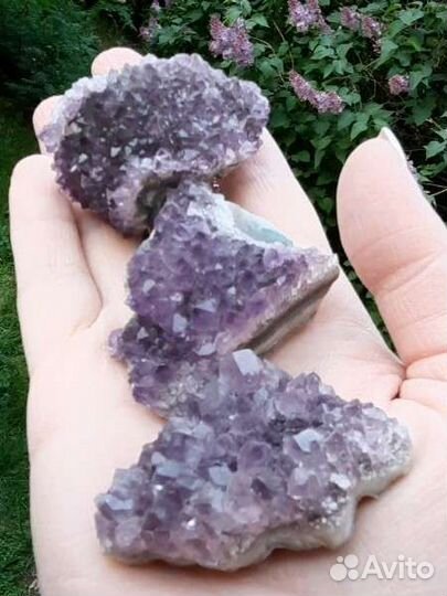 Аметист Друза Кристалл Камень