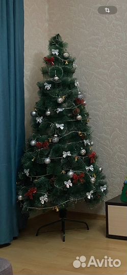 Сосна новогодняя