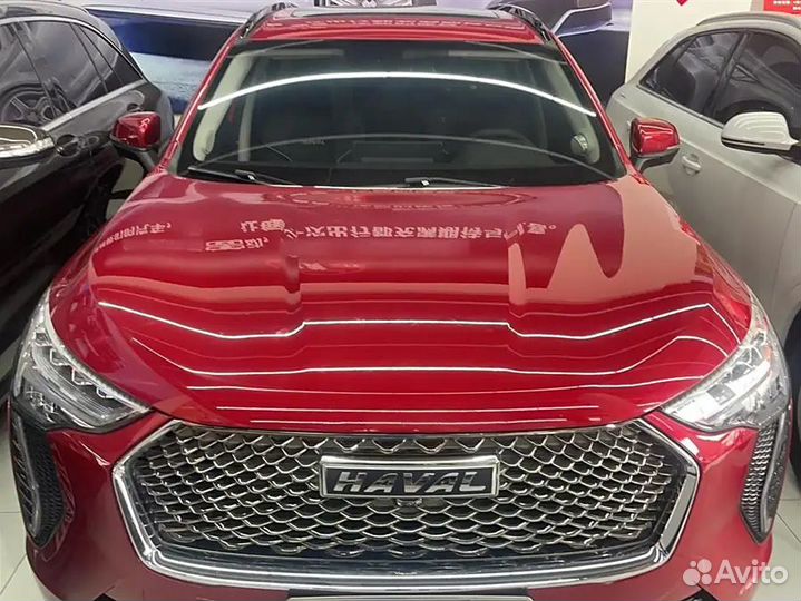 Haval Jolion 1.5 AMT, 2021, 34 300 км