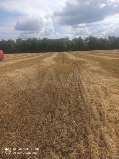 Участок 16 сот. (ИЖС)