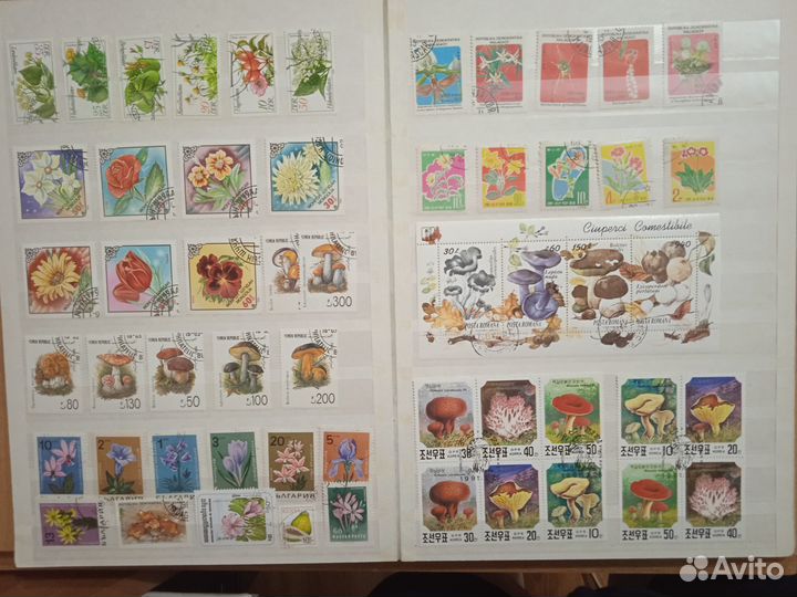 Марки. Флора. Набор. а4