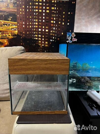 Аквариум