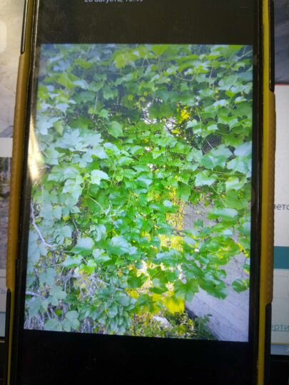 Дача 70 м² на участке 10,3 сот.