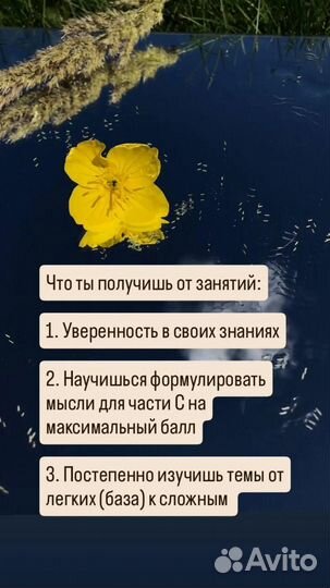 Репетитор по биологии ОГЭ онлайн