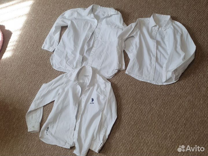Рубашка и блузки зара, mngb и polo