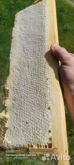 Майский мед,свежий разнотравие