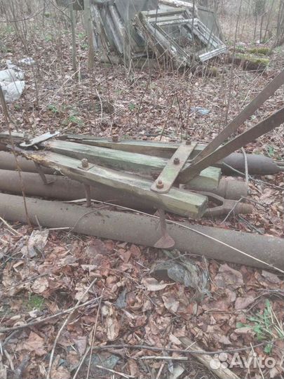 Сельхоз животные