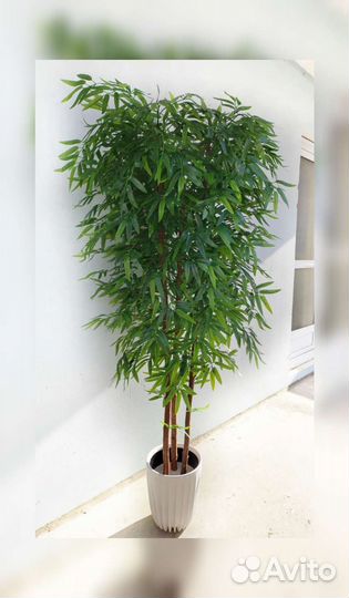 Бамбук искусственный, дерево искусственное