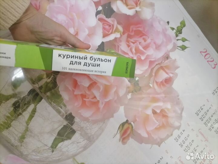 Куриный бульон для души. 101 история