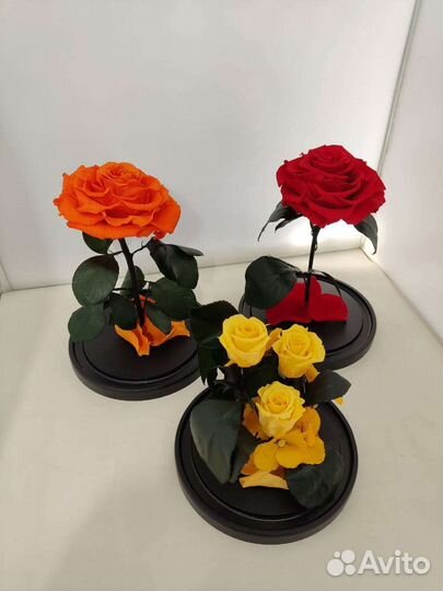 Роза в колбе