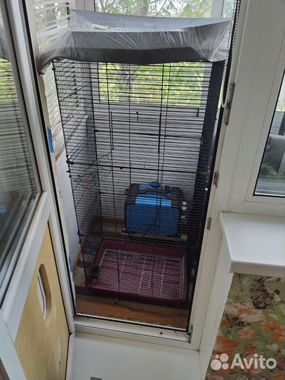 Клетка для грызунов очень большая