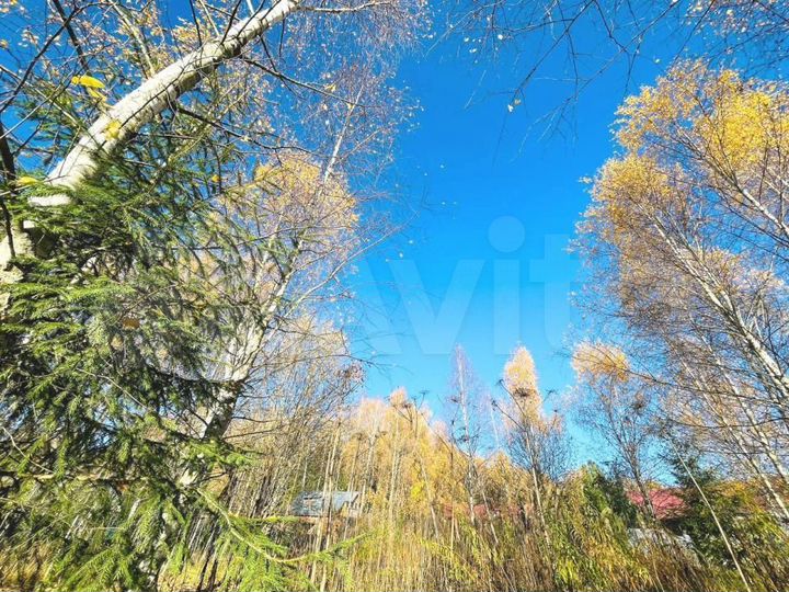 Участок 11,5 сот. (ИЖС)