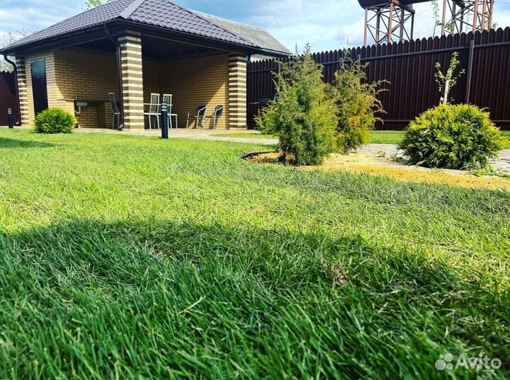 Рулонный газон