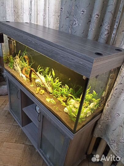 Аквариум 250л с тумбой и фильтром
