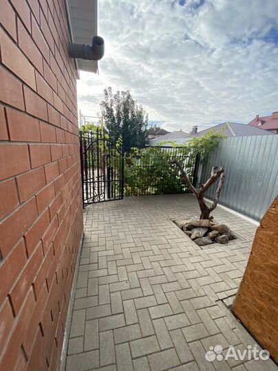 Передержка собак