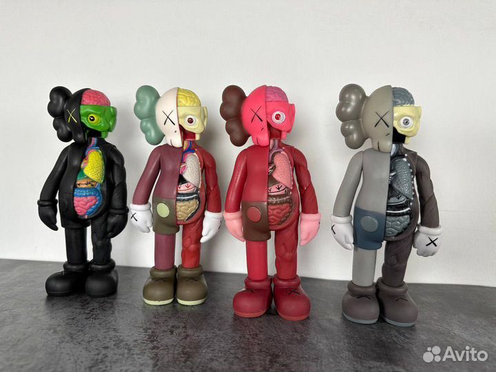 Kaws Anatomy