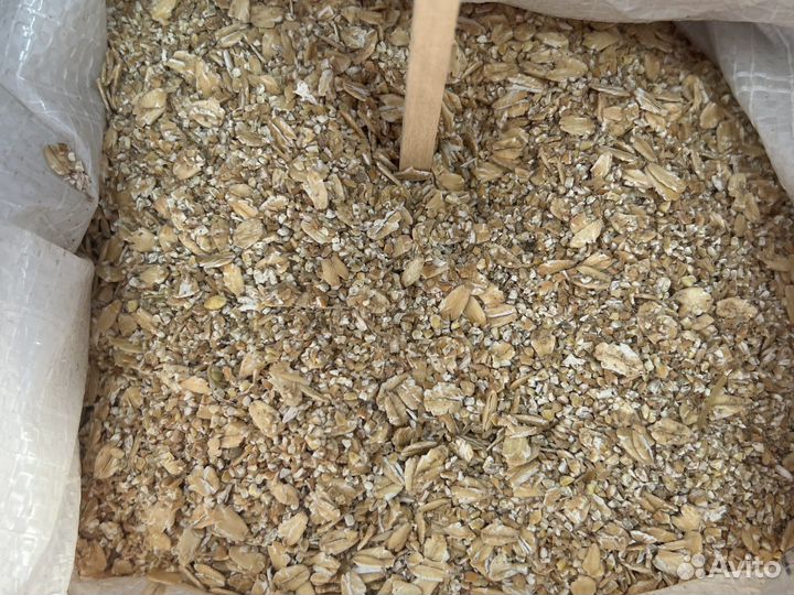 Каша для собак