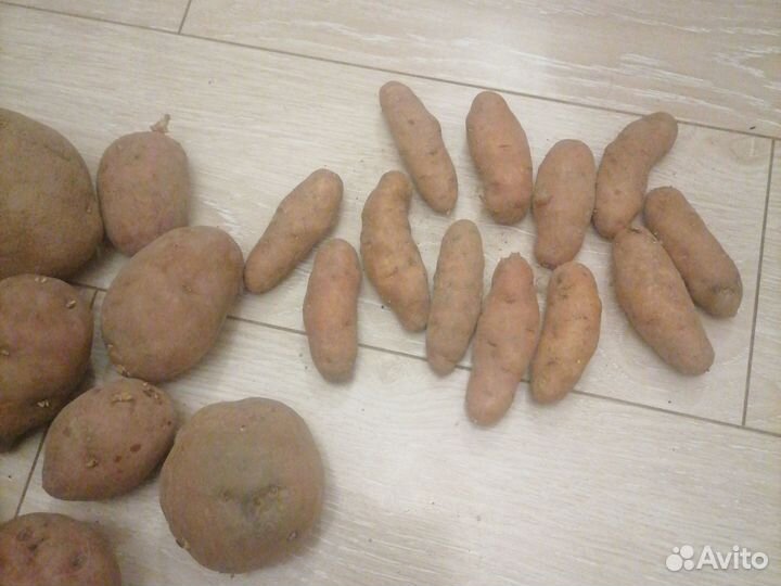 Елочные заготовки картофелины игрушки