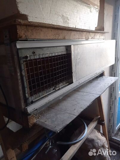 Брудер для цыплят