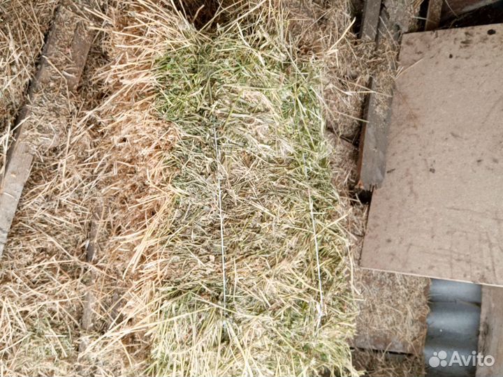 Сено люцерны в тюках