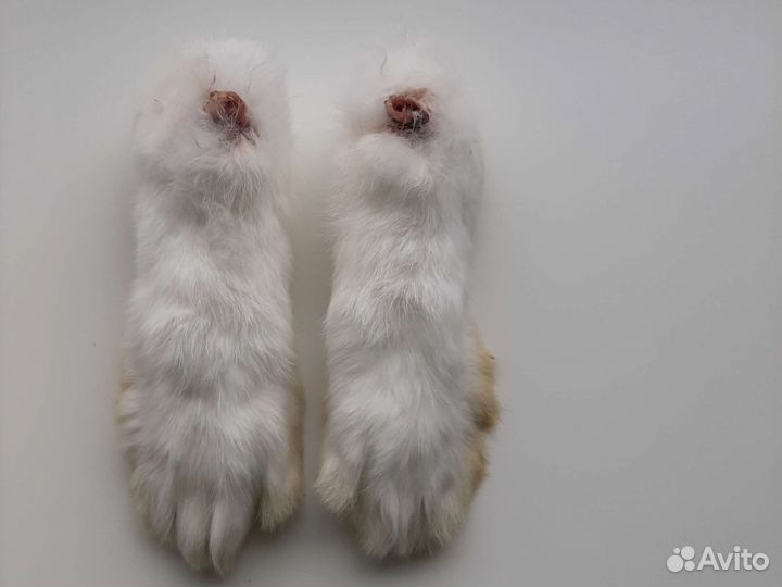 Лакомства для собак из кролика