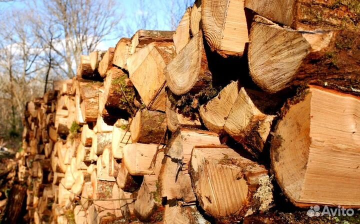 Дрова ольха от производителя