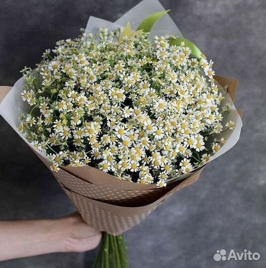 Ромашки Пионы Розы Доставка