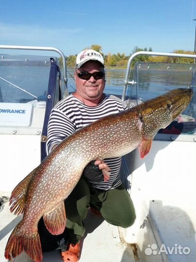 Рыбалка с гидом на Волге в Самаре