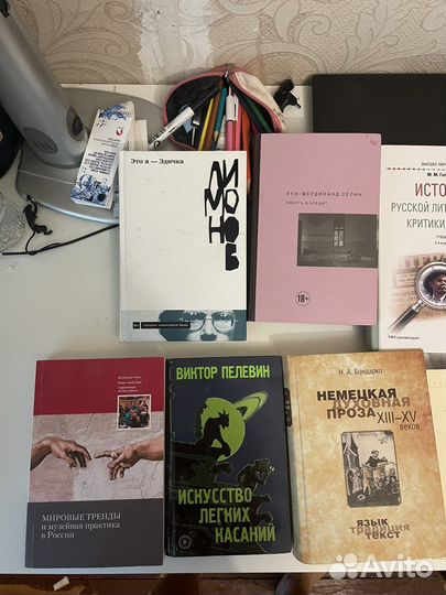 Книги: Сорокин, Лимонов, Селин и другие