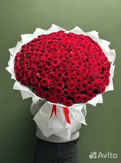 101 роза 51 31 25 роза цветы доставка