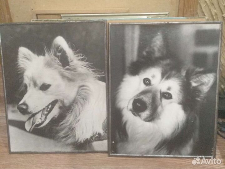 Лот картины и фото СССР винтаж