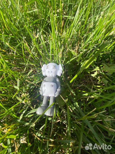 Джибитсы crocs(kaws)