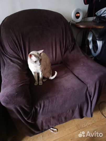 Отдам мебель б/у