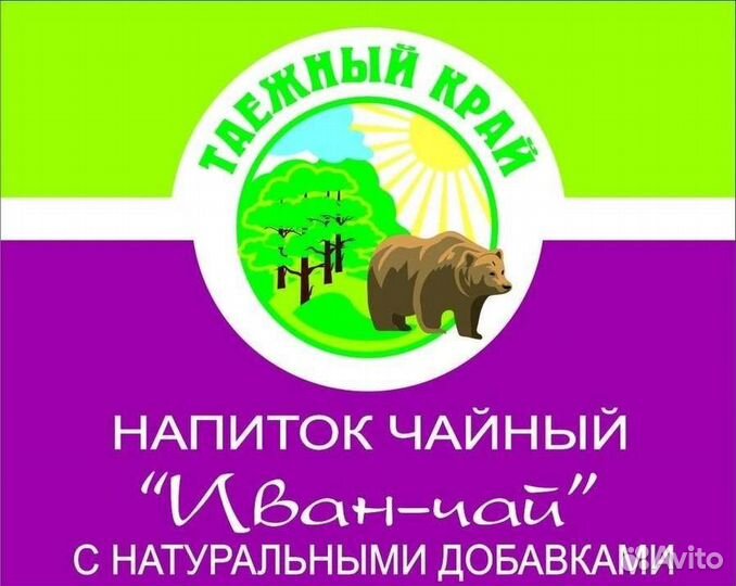 Сборщик Иван чая