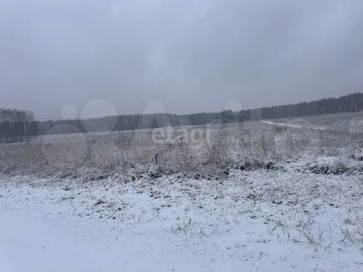 Участок 1,01 га (ИЖС)