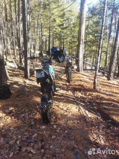 Regulmoto seven medalist