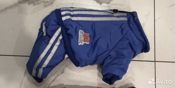 Одежда для собак