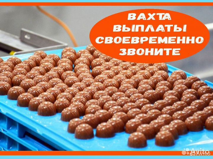 Работа вахтой с проживанием Упаковщик шоколада М/Ж