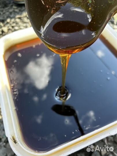 Мед Каштановый опт